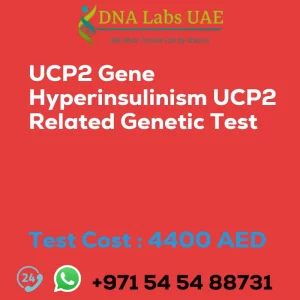 UCP2 Gene Hyperinsulinism UCP2 Related Genetic Test sale cost 4400 AED