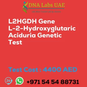 L2HGDH Gene L-2-Hydroxyglutaric Aciduria Genetic Test sale cost 4400 AED