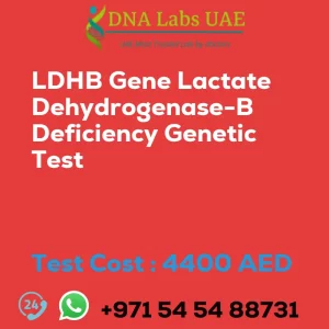 LDHB Gene Lactate Dehydrogenase-B Deficiency Genetic Test sale cost 4400 AED