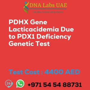 PDHX Gene Lacticacidemia Due to PDX1 Deficiency Genetic Test sale cost 4400 AED
