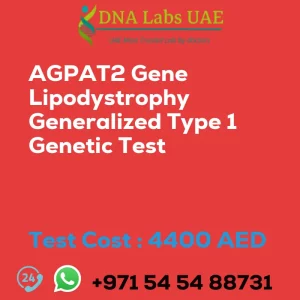 AGPAT2 Gene Lipodystrophy Generalized Type 1 Genetic Test sale cost 4400 AED
