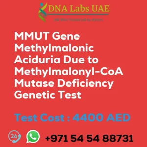 MMUT Gene Methylmalonic Aciduria Due to Methylmalonyl-CoA Mutase Deficiency Genetic Test sale cost 4400 AED