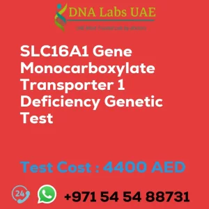 SLC16A1 Gene Monocarboxylate Transporter 1 Deficiency Genetic Test sale cost 4400 AED