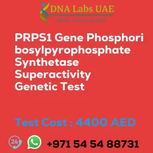 PRPS1 Gene Phosphoribosylpyrophosphate Synthetase Superactivity Genetic Test sale cost 4400 AED