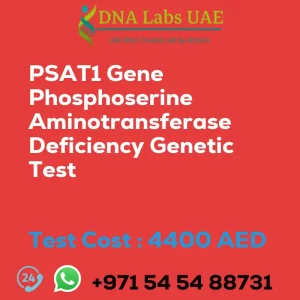 PSAT1 Gene Phosphoserine Aminotransferase Deficiency Genetic Test sale cost 4400 AED