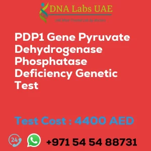 PDP1 Gene Pyruvate Dehydrogenase Phosphatase Deficiency Genetic Test sale cost 4400 AED