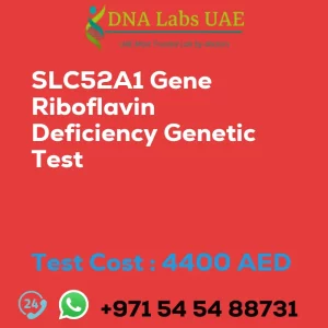 SLC52A1 Gene Riboflavin Deficiency Genetic Test sale cost 4400 AED