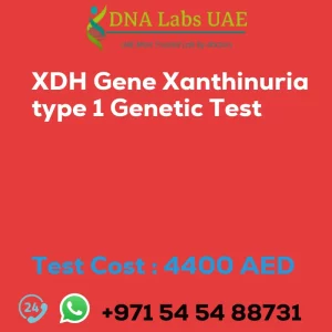 XDH Gene Xanthinuria type 1 Genetic Test sale cost 4400 AED