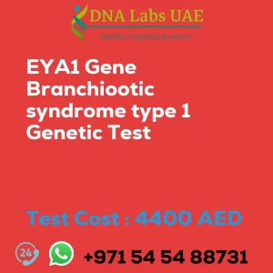 EYA1 Gene Branchiootic syndrome type 1 Genetic Test sale cost 4400 AED