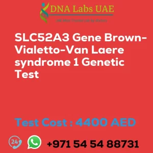 SLC52A3 Gene Brown-Vialetto-Van Laere syndrome 1 Genetic Test sale cost 4400 AED