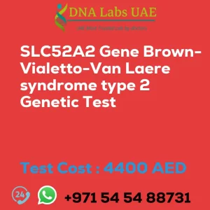 SLC52A2 Gene Brown-Vialetto-Van Laere syndrome type 2 Genetic Test sale cost 4400 AED