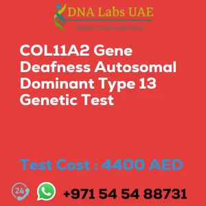 COL11A2 Gene Deafness Autosomal Dominant Type 13 Genetic Test sale cost 4400 AED