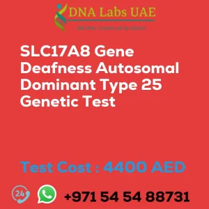 SLC17A8 Gene Deafness Autosomal Dominant Type 25 Genetic Test sale cost 4400 AED