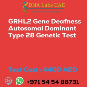 GRHL2 Gene Deafness Autosomal Dominant Type 28 Genetic Test sale cost 4400 AED