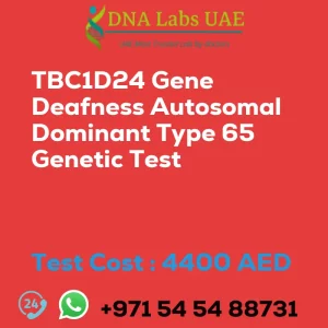 TBC1D24 Gene Deafness Autosomal Dominant Type 65 Genetic Test sale cost 4400 AED