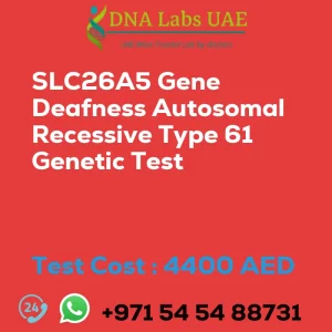 SLC26A5 Gene Deafness Autosomal Recessive Type 61 Genetic Test sale cost 4400 AED