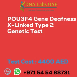 POU3F4 Gene Deafness X-Linked Type 2 Genetic Test sale cost 4400 AED