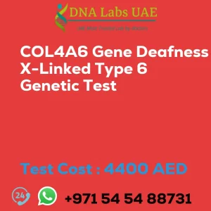 COL4A6 Gene Deafness X-Linked Type 6 Genetic Test sale cost 4400 AED