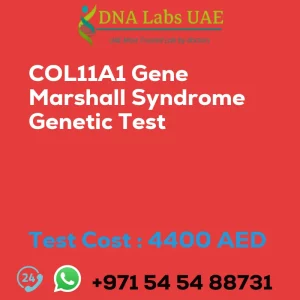 COL11A1 Gene Marshall Syndrome Genetic Test sale cost 4400 AED
