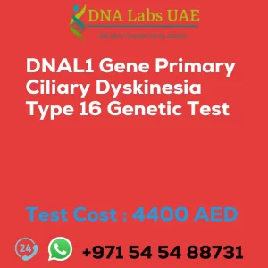 DNAL1 Gene Primary Ciliary Dyskinesia Type 16 Genetic Test sale cost 4400 AED