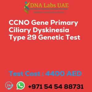 CCNO Gene Primary Ciliary Dyskinesia Type 29 Genetic Test sale cost 4400 AED
