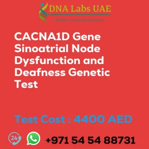 CACNA1D Gene Sinoatrial Node Dysfunction and Deafness Genetic Test sale cost 4400 AED