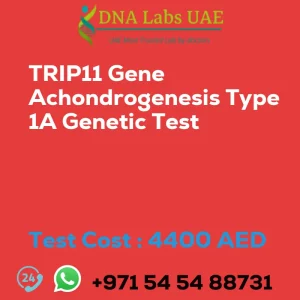 TRIP11 Gene Achondrogenesis Type 1A Genetic Test sale cost 4400 AED