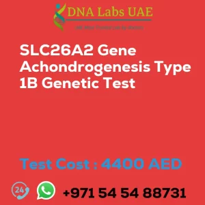 SLC26A2 Gene Achondrogenesis Type 1B Genetic Test sale cost 4400 AED
