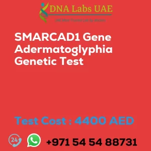 SMARCAD1 Gene Adermatoglyphia Genetic Test sale cost 4400 AED