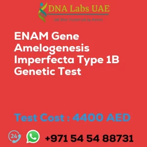 ENAM Gene Amelogenesis Imperfecta Type 1B Genetic Test sale cost 4400 AED