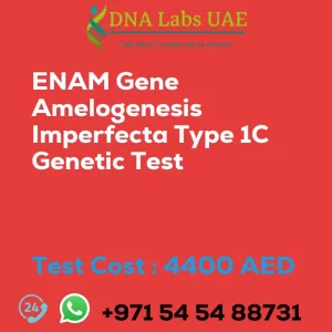 ENAM Gene Amelogenesis Imperfecta Type 1C Genetic Test sale cost 4400 AED