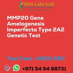 MMP20 Gene Amelogenesis Imperfecta Type 2A2 Genetic Test sale cost 4400 AED