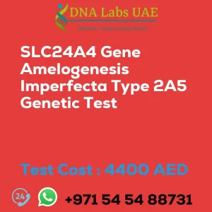 SLC24A4 Gene Amelogenesis Imperfecta Type 2A5 Genetic Test sale cost 4400 AED