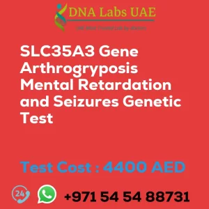 SLC35A3 Gene Arthrogryposis Mental Retardation and Seizures Genetic Test sale cost 4400 AED