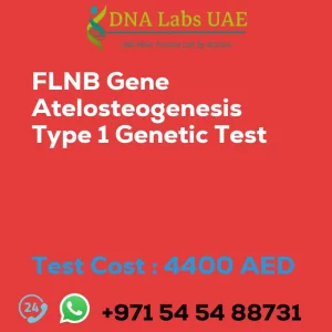 FLNB Gene Atelosteogenesis Type 1 Genetic Test sale cost 4400 AED