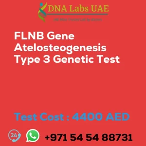 FLNB Gene Atelosteogenesis Type 3 Genetic Test sale cost 4400 AED