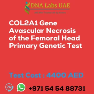 COL2A1 Gene Avascular Necrosis of the Femoral Head Primary Genetic Test sale cost 4400 AED