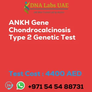 ANKH Gene Chondrocalcinosis Type 2 Genetic Test sale cost 4400 AED