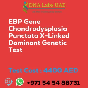 EBP Gene Chondrodysplasia Punctata X-Linked Dominant Genetic Test sale cost 4400 AED