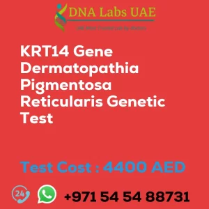 KRT14 Gene Dermatopathia Pigmentosa Reticularis Genetic Test sale cost 4400 AED