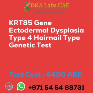 KRT85 Gene Ectodermal Dysplasia Type 4 Hairnail Type Genetic Test sale cost 4400 AED