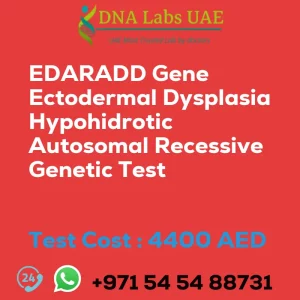 EDARADD Gene Ectodermal Dysplasia Hypohidrotic Autosomal Recessive Genetic Test sale cost 4400 AED