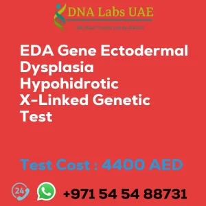 EDA Gene Ectodermal Dysplasia Hypohidrotic X-Linked Genetic Test sale cost 4400 AED