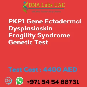 PKP1 Gene Ectodermal Dysplasiaskin Fragility Syndrome Genetic Test sale cost 4400 AED