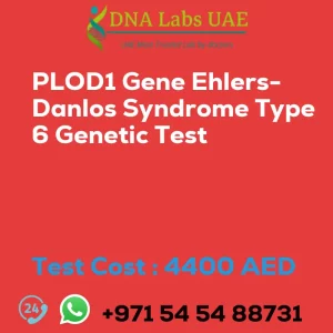 PLOD1 Gene Ehlers-Danlos Syndrome Type 6 Genetic Test sale cost 4400 AED