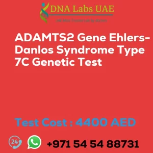 ADAMTS2 Gene Ehlers-Danlos Syndrome Type 7C Genetic Test sale cost 4400 AED