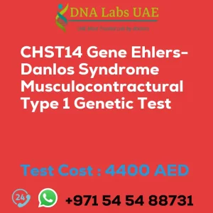 CHST14 Gene Ehlers-Danlos Syndrome Musculocontractural Type 1 Genetic Test sale cost 4400 AED