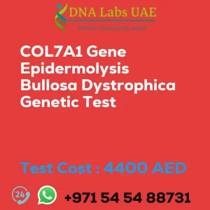 COL7A1 Gene Epidermolysis Bullosa Dystrophica Genetic Test sale cost 4400 AED