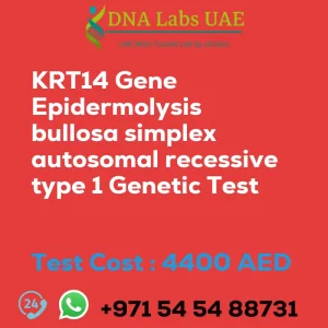 KRT14 Gene Epidermolysis bullosa simplex autosomal recessive type 1 Genetic Test sale cost 4400 AED