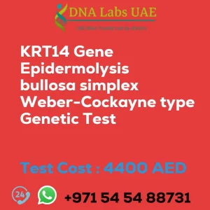 KRT14 Gene Epidermolysis bullosa simplex Weber-Cockayne type Genetic Test sale cost 4400 AED